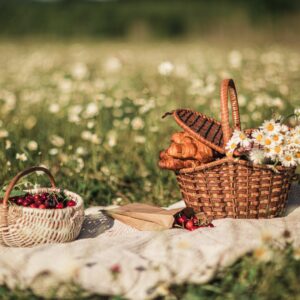 Mehr über den Artikel erfahren 11. August Picknick Gottesdienst